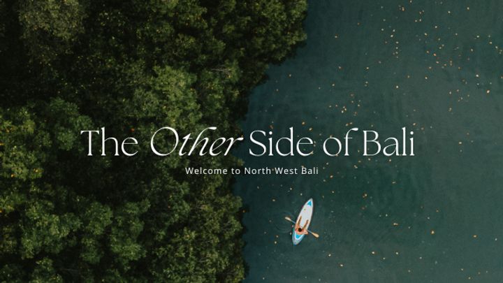 The Other Side of Bali
