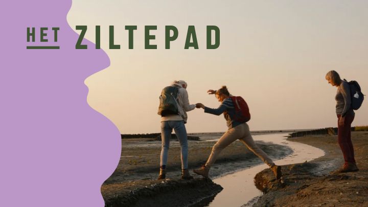 Het Ziltepad