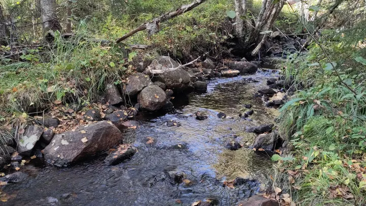 Wandel, fiets of auto routes