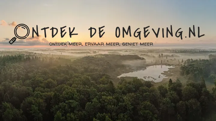 Ontdek de Omgeving