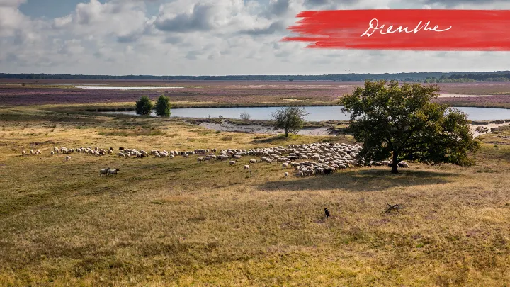Ontdek Zuidwest Drenthe