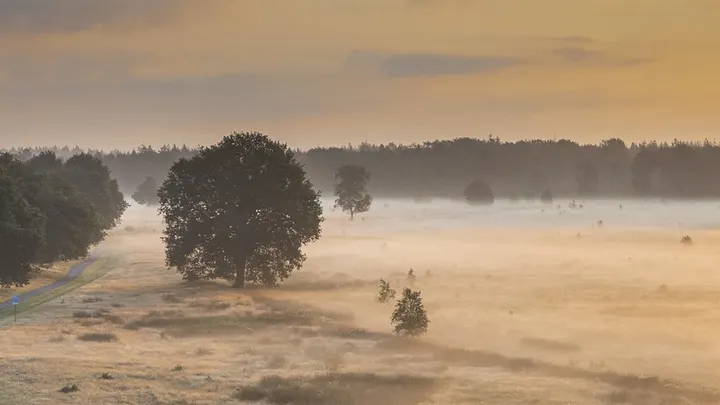 Ontdek het Drents-Friese Wold