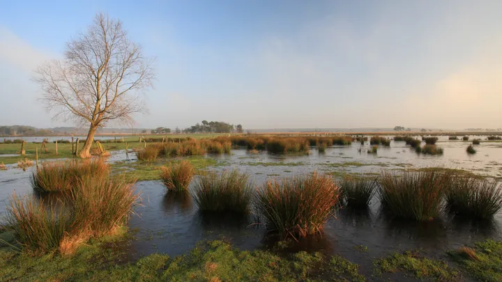 Experience map Grenspark Kalmthoutse Heide