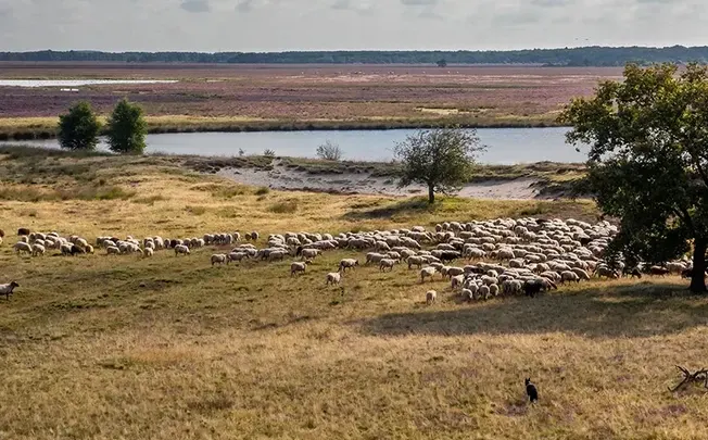 Entdecke Südwest-Drenthe